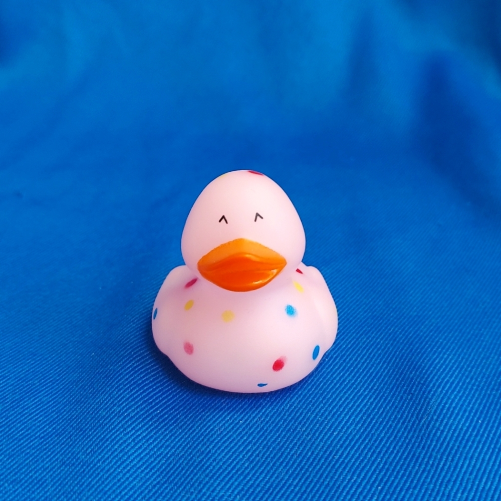 #5 Duck For Duck Duck Plushie Game